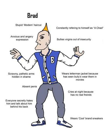 The fact this character from kick buttowski is named Brad and is a bully  just like the vvc character (Brad) : r/virginvschad