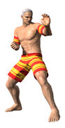 Virtua Fighter 5 Final Showdown Costume S