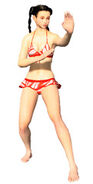 Virtua Fighter 5 Final Showdown Costume S