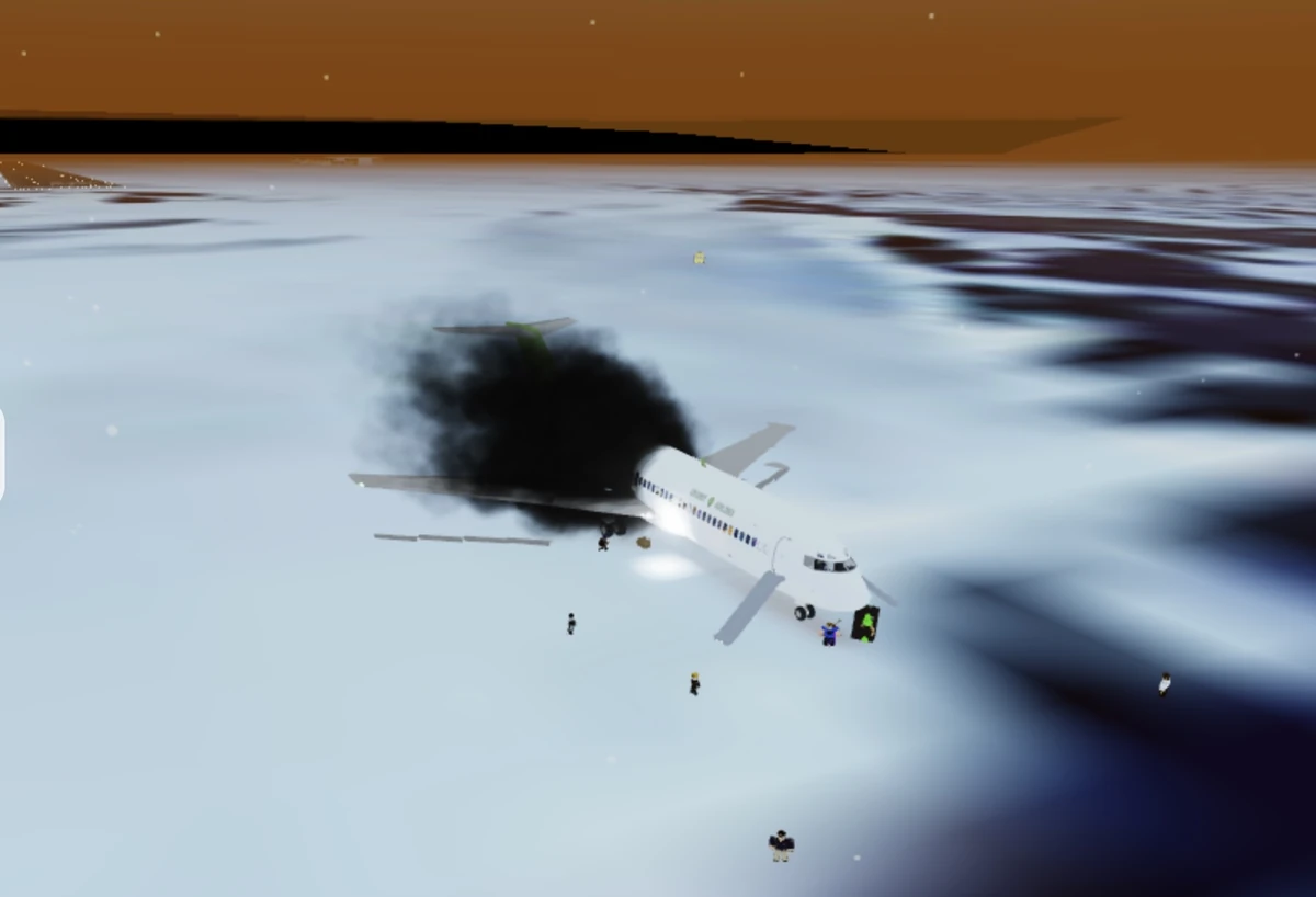 Coconut Airlines flight 87A Virtual Aviation Accidents Wiki Fandom