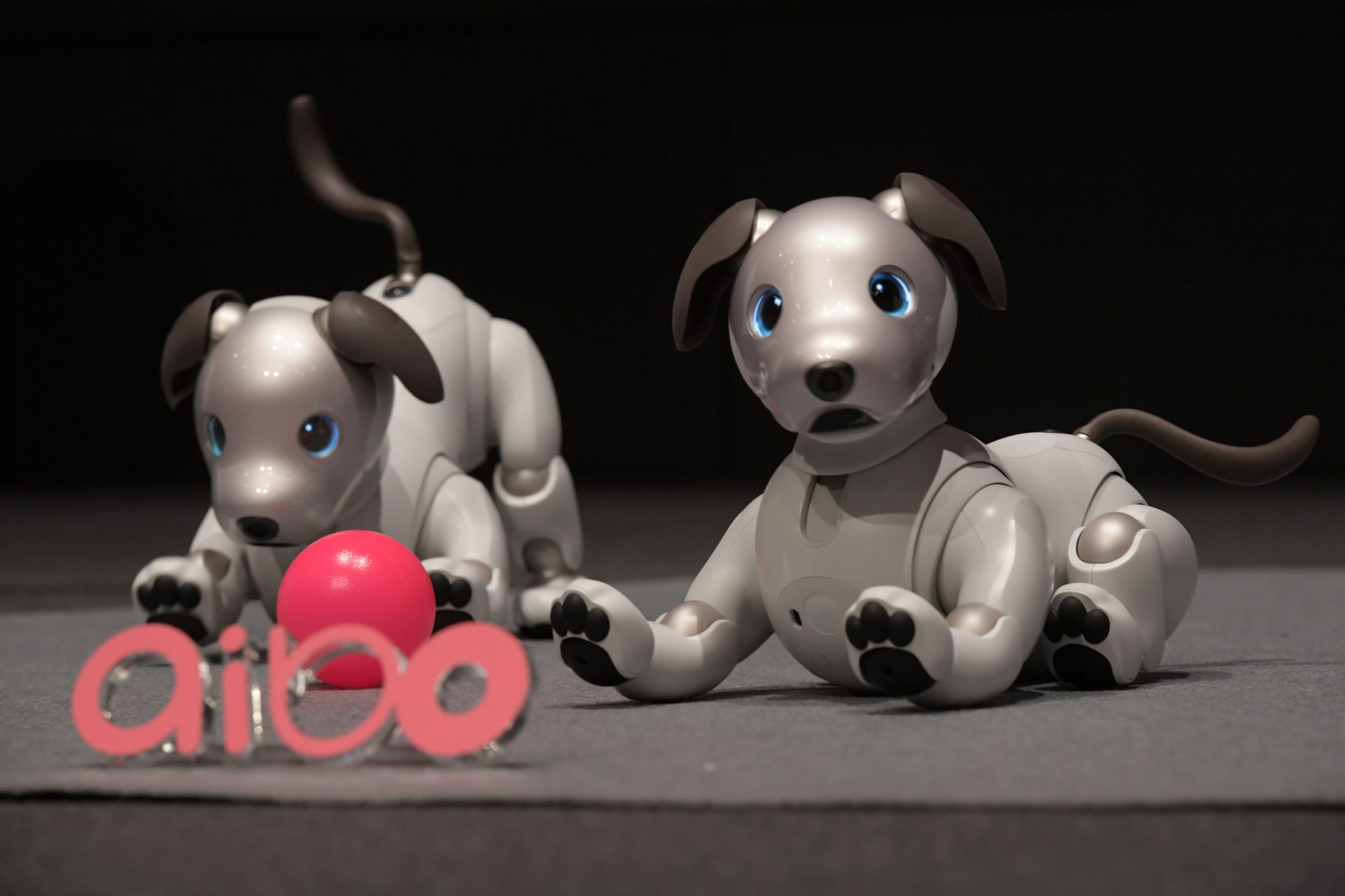 AIBO | Virtual Pets Wiki | Fandom
