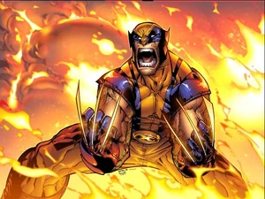 Quando la diarrea ti sorprende..