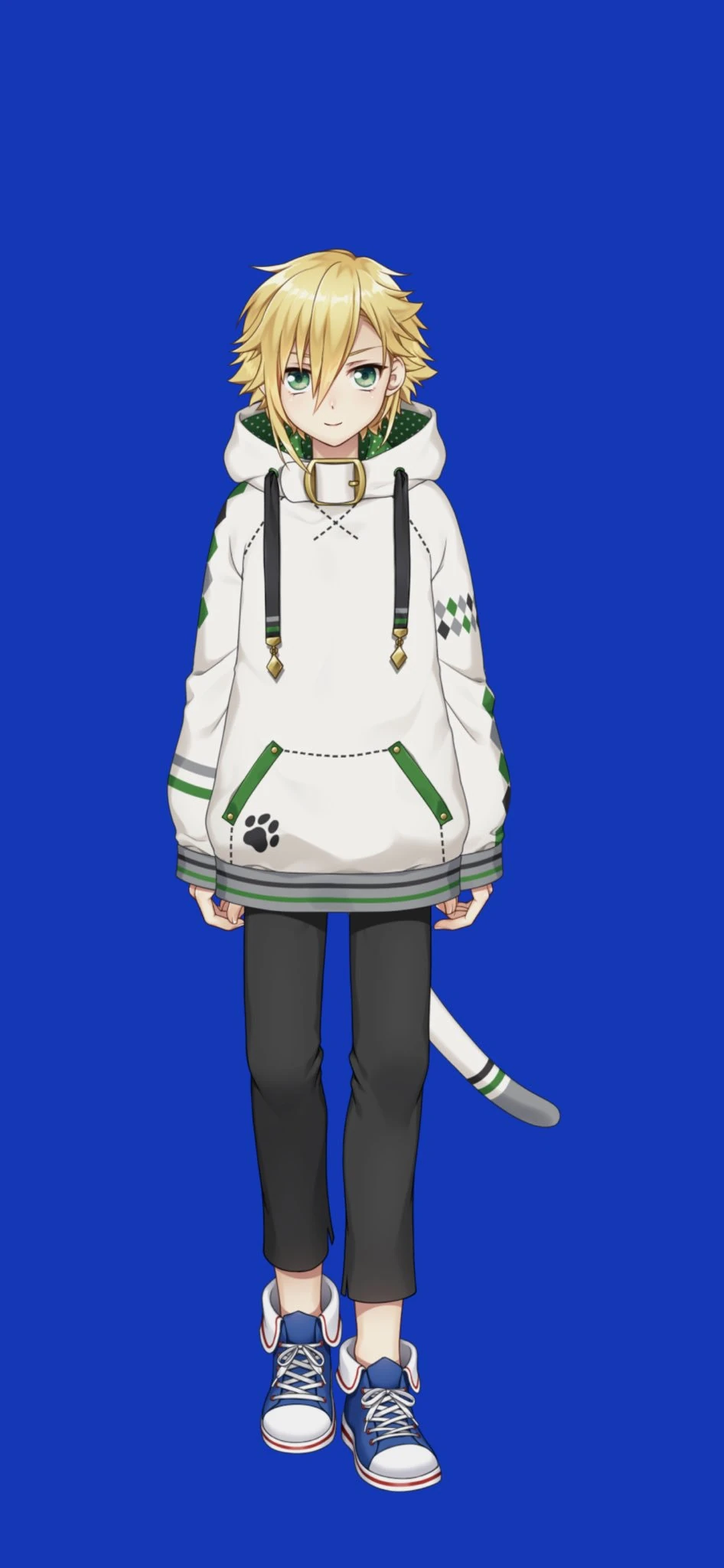 Parka Without Hood