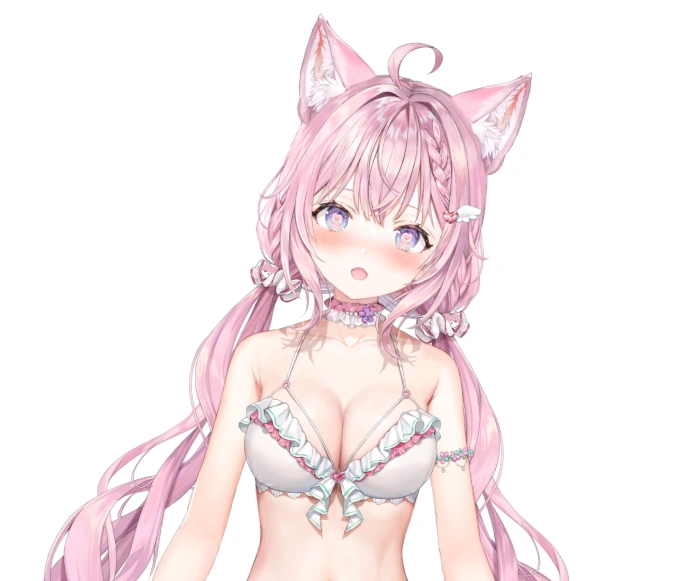 Low Twintails Hairstyle