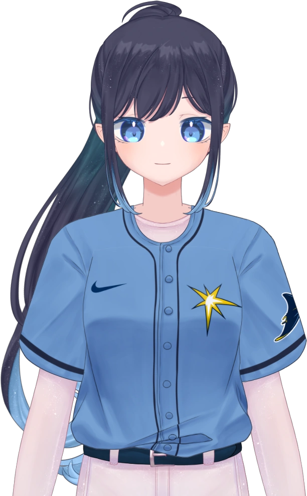 Tampa Bay Rays Outfit