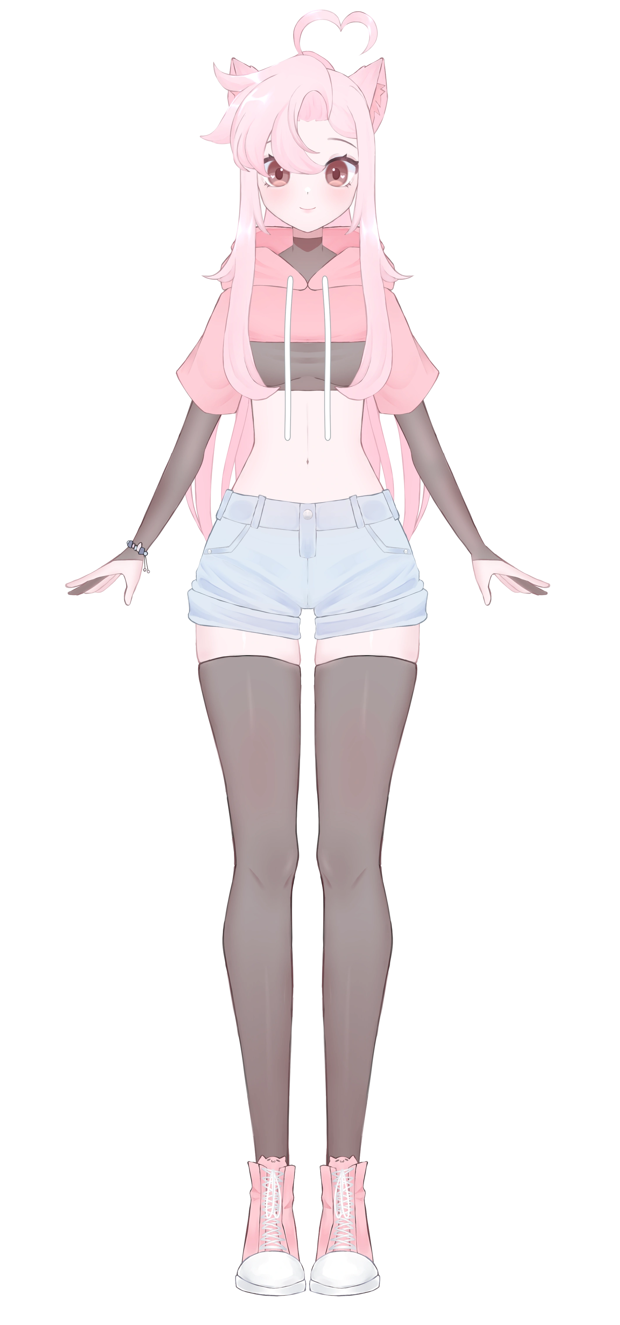 Animation Channel-inspired Model