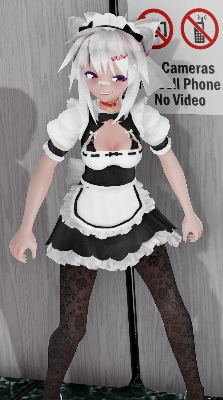 Maid Melware