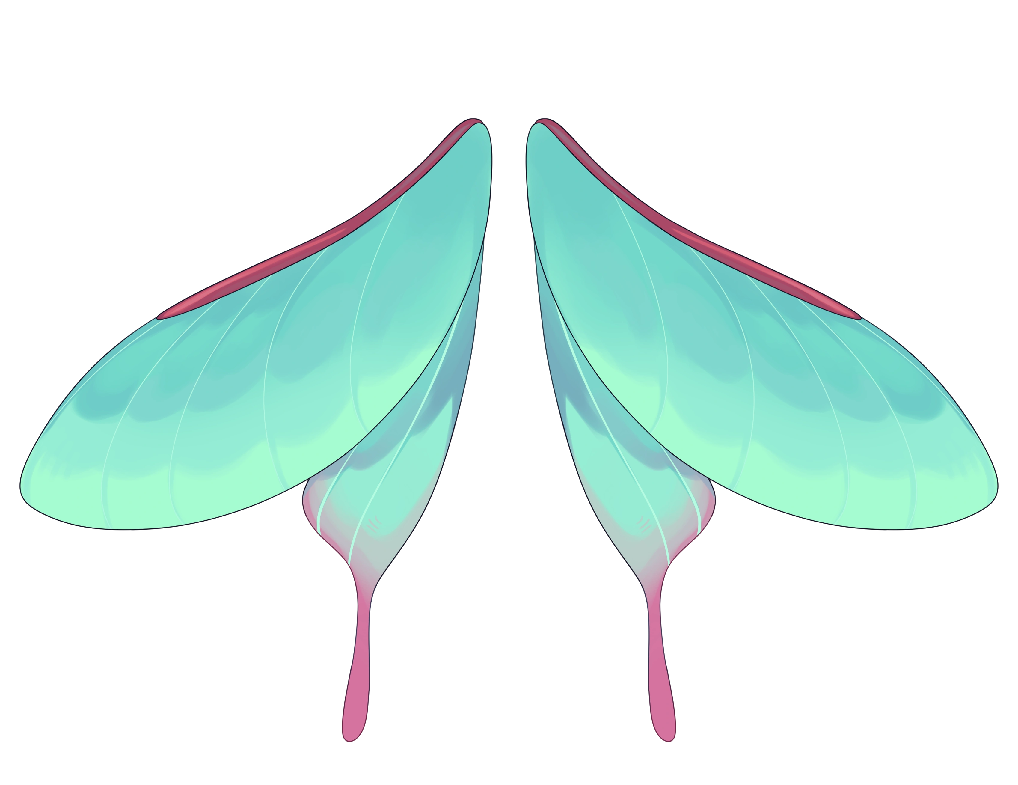 2.0 Wings Reference
