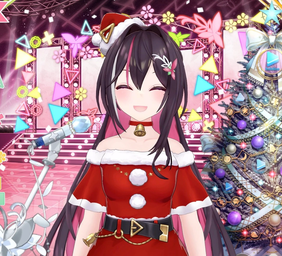 3D Santa Costume
