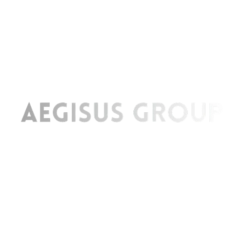 Aegisus Group banner