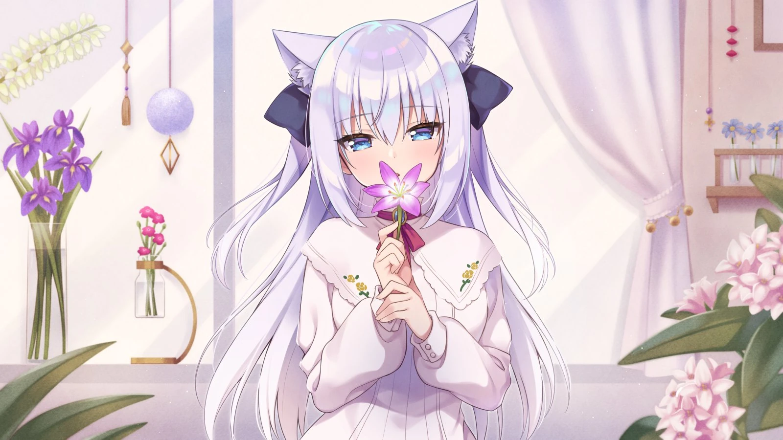 Shirayuki Mishiro flos Illustration