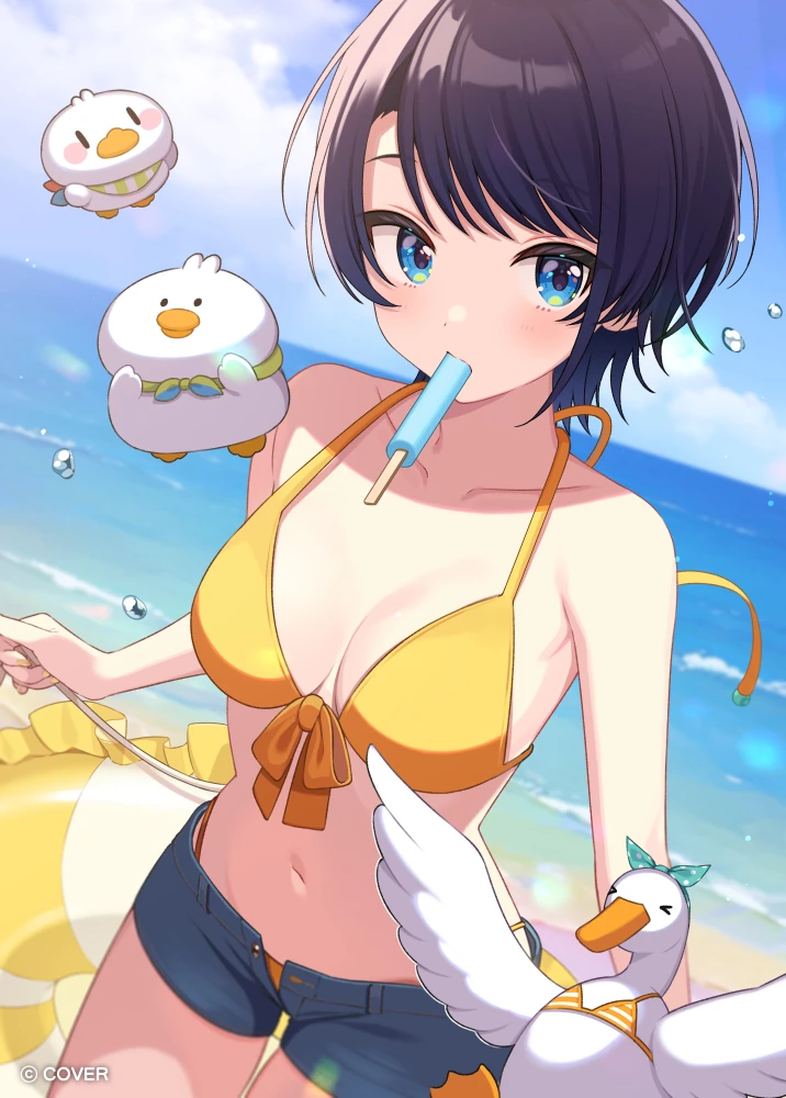 Oozora Subaru 2025 Birthday Merch Illustration