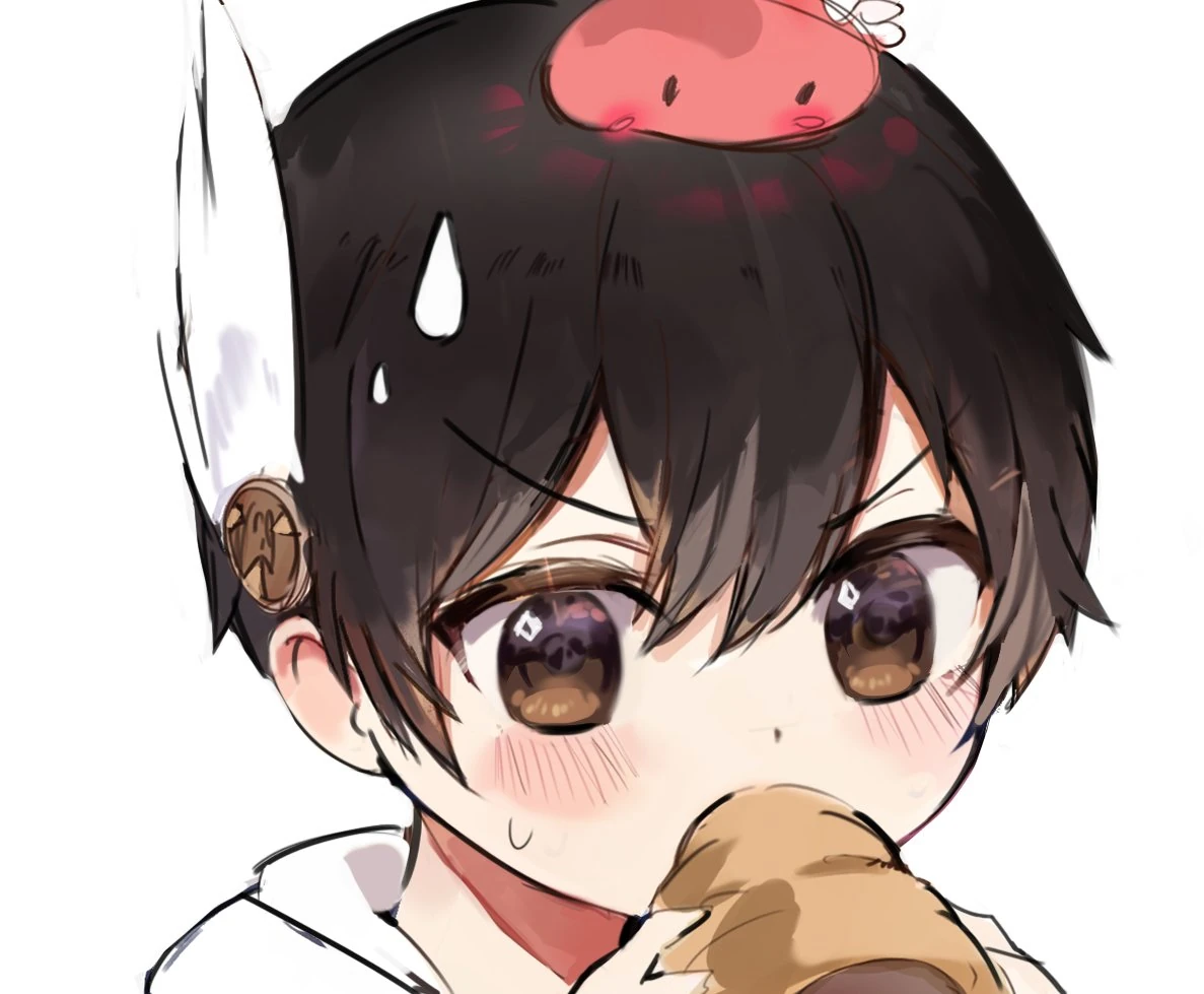 Twitter Profile