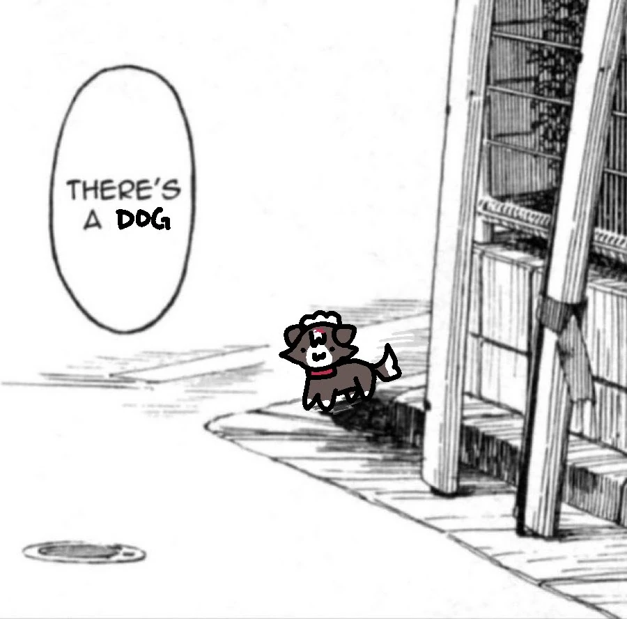 "THERE'S A DOG"