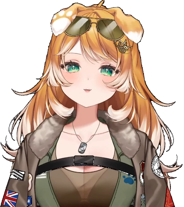 Pilot outfit