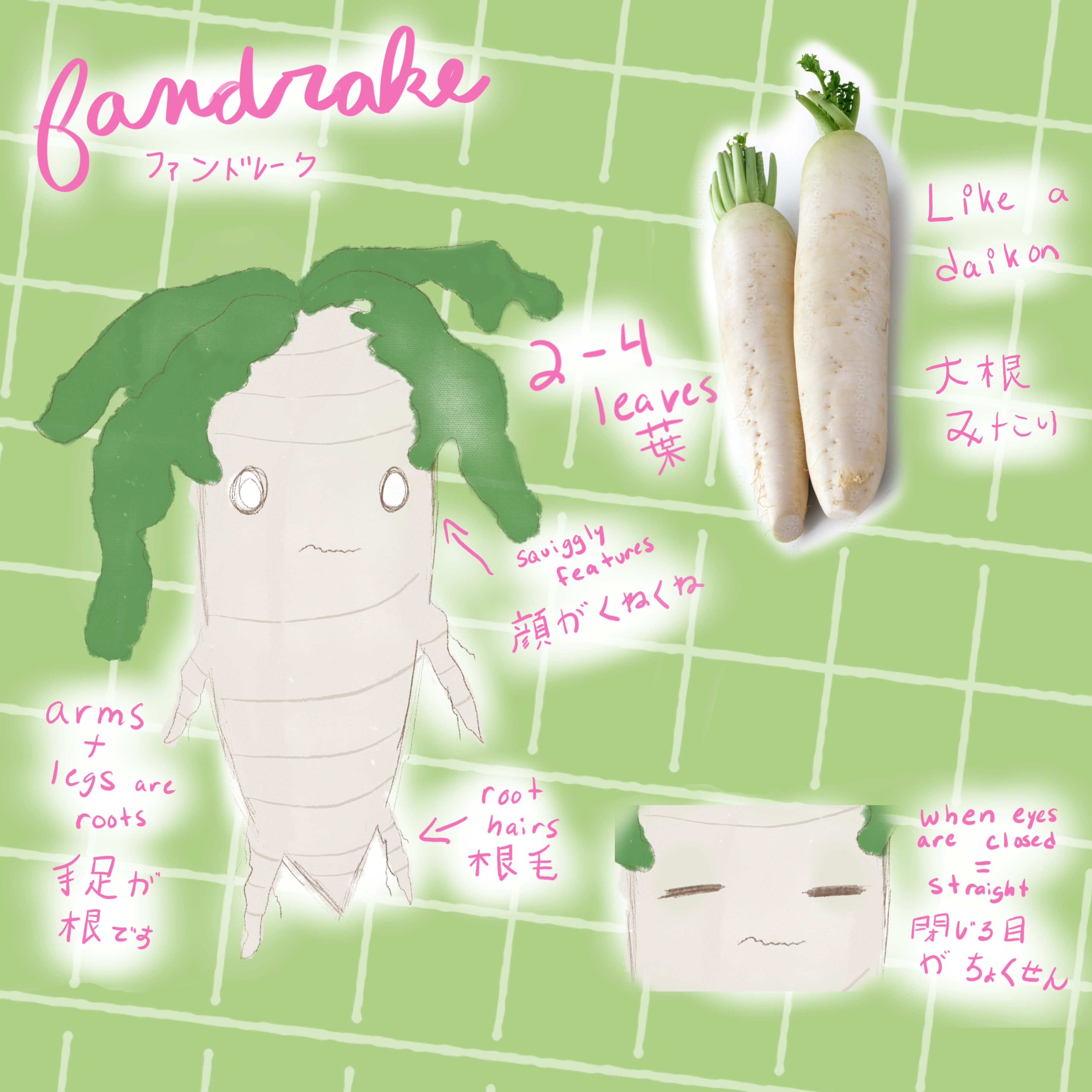 Mascot (Fandrake) reference (art by Lillie)