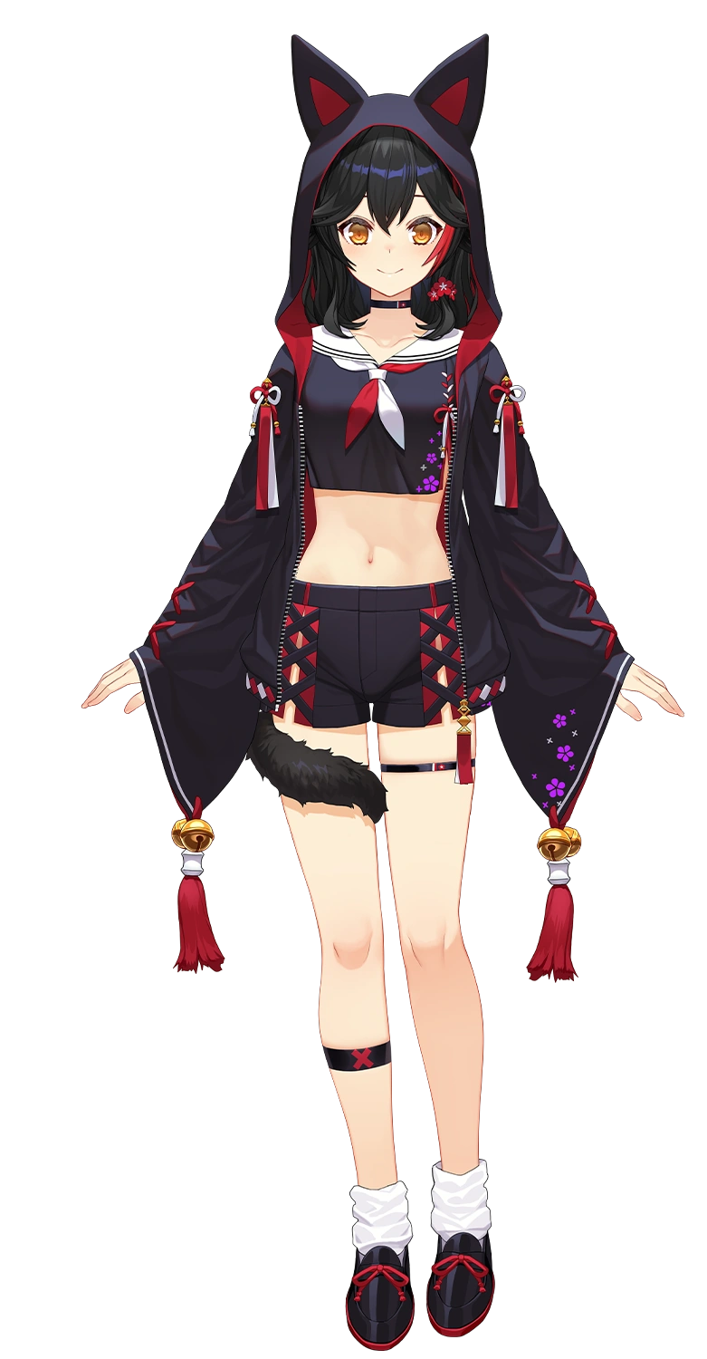 Sixth Costume