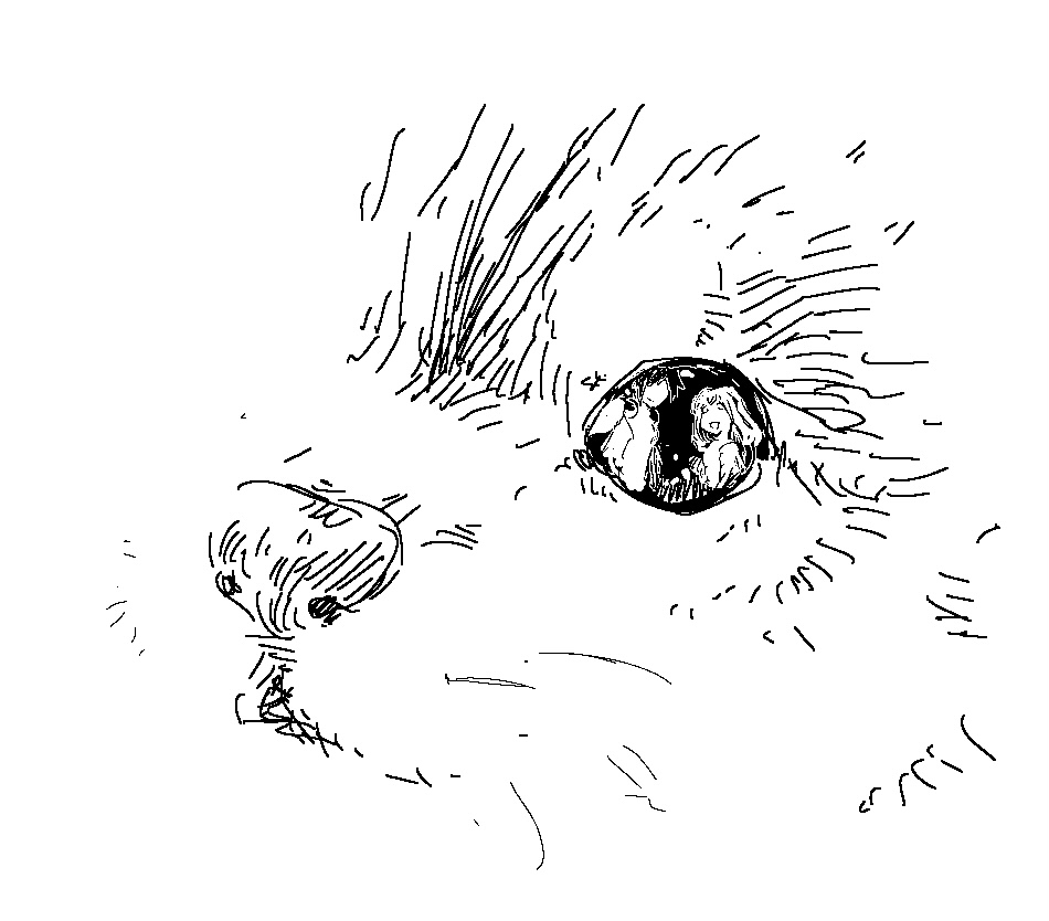 Kuroi Shiba