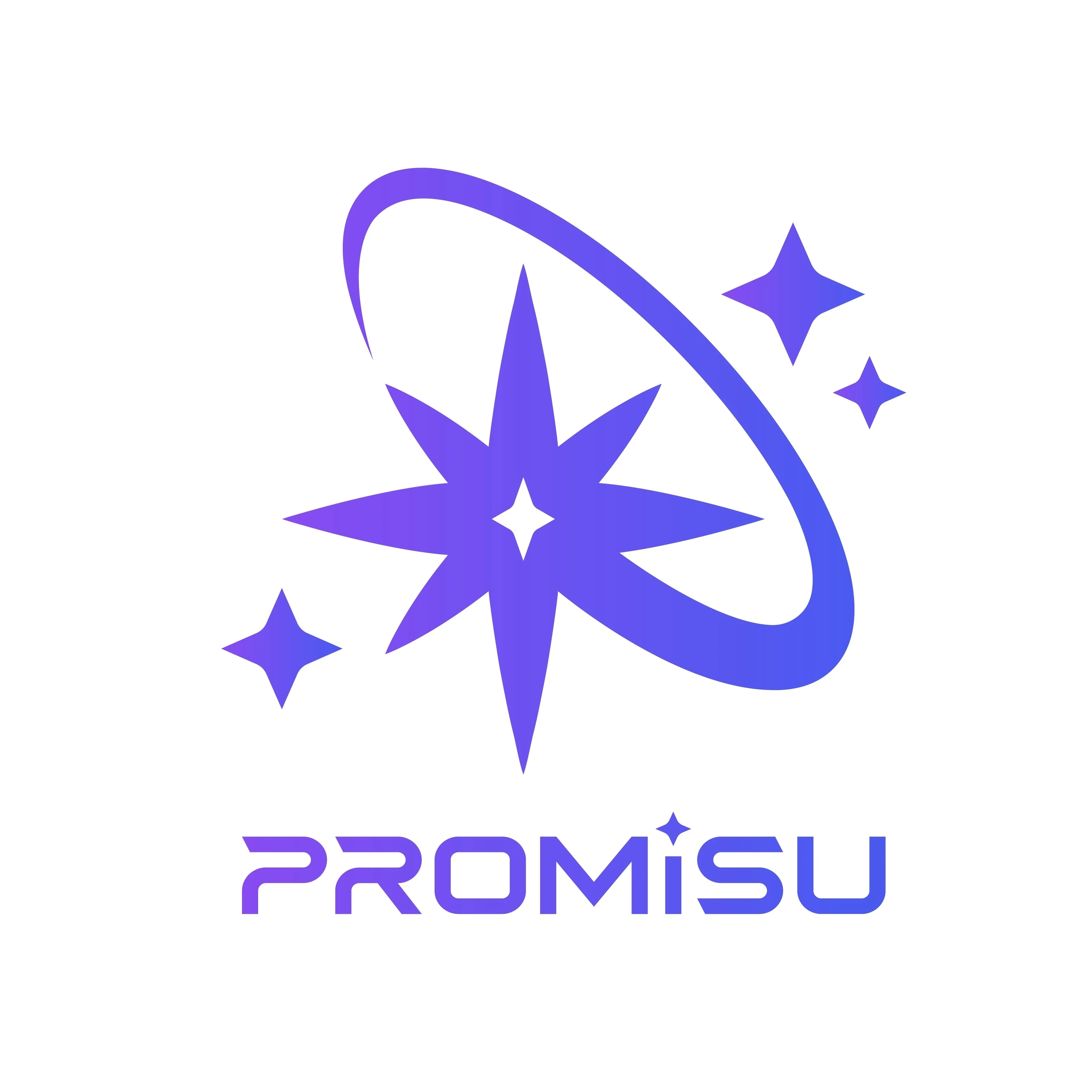 PROMISU banner