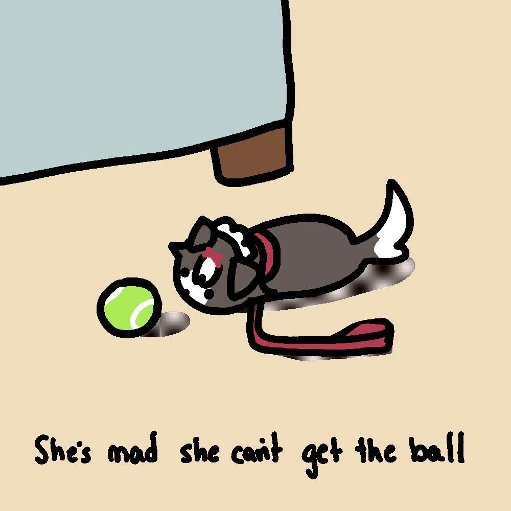 Ball Roll
