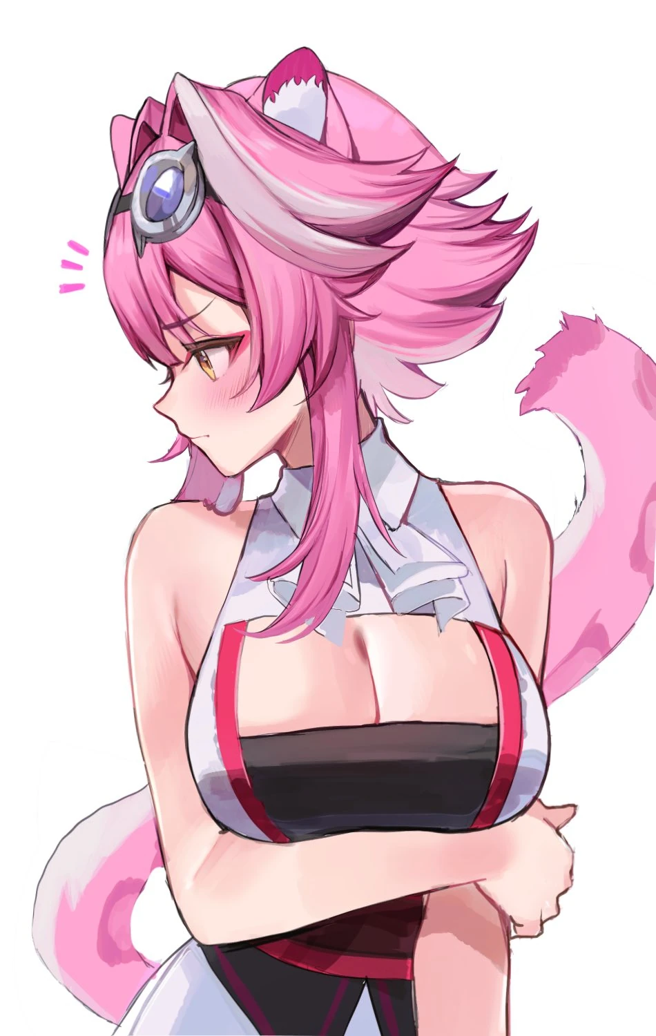 Short hair cat
