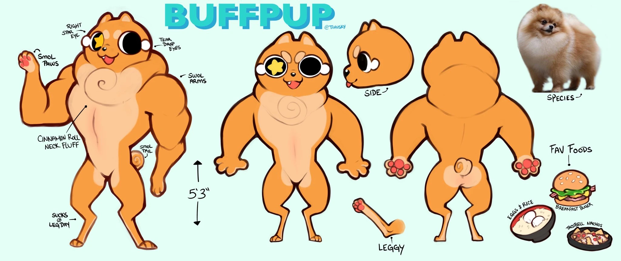Buffpup