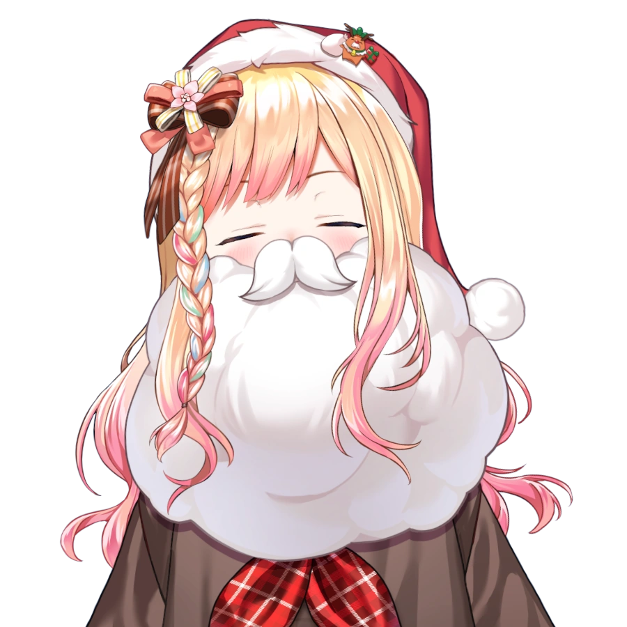 Santa Accessories