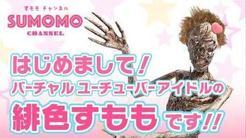 【自己紹介】はじめまして！緋色すももです！