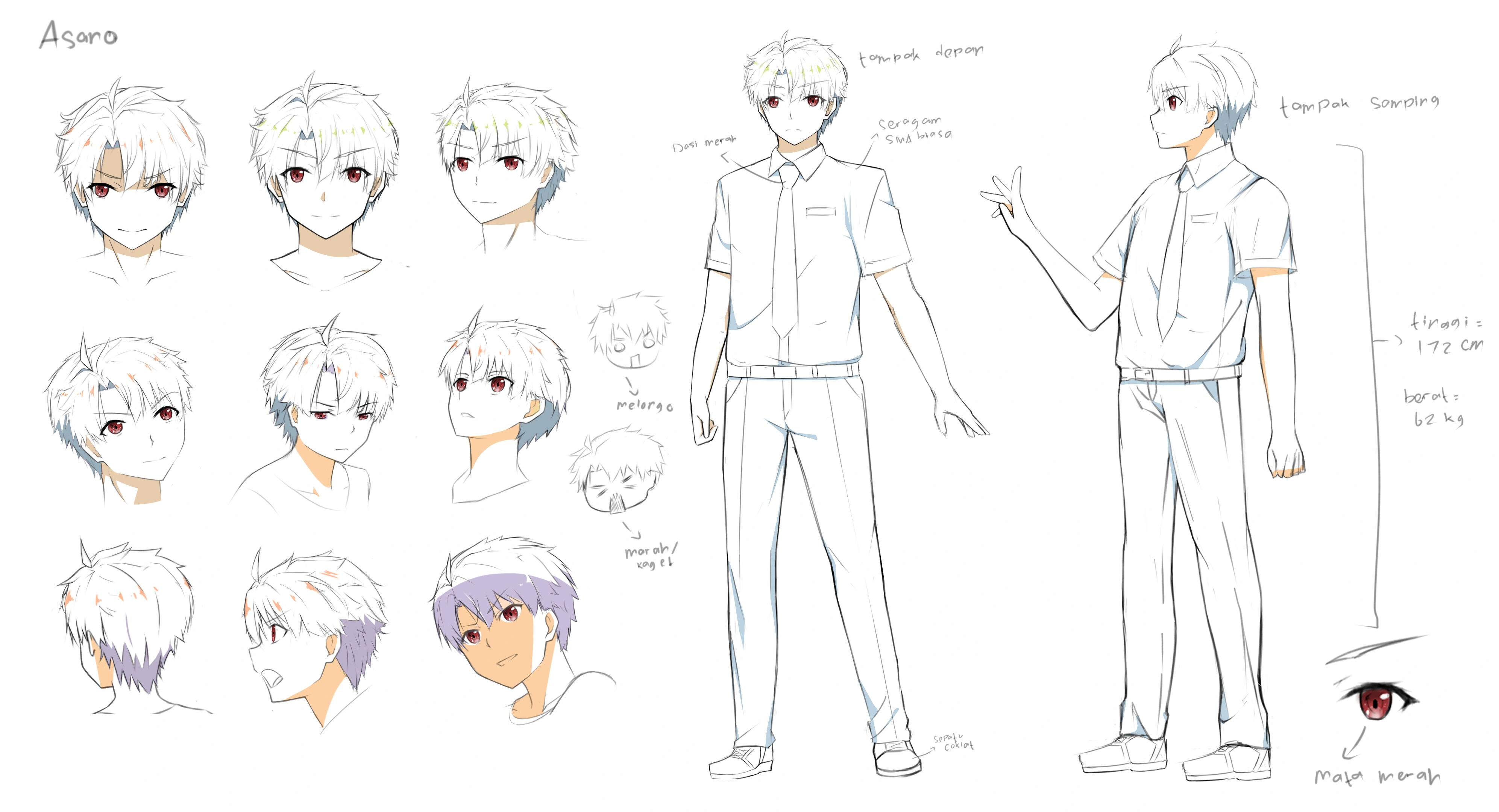 Asano Diary series character sheet