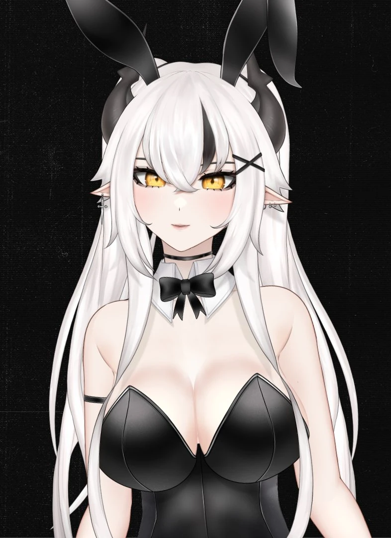 Ciri's Bunny Suit