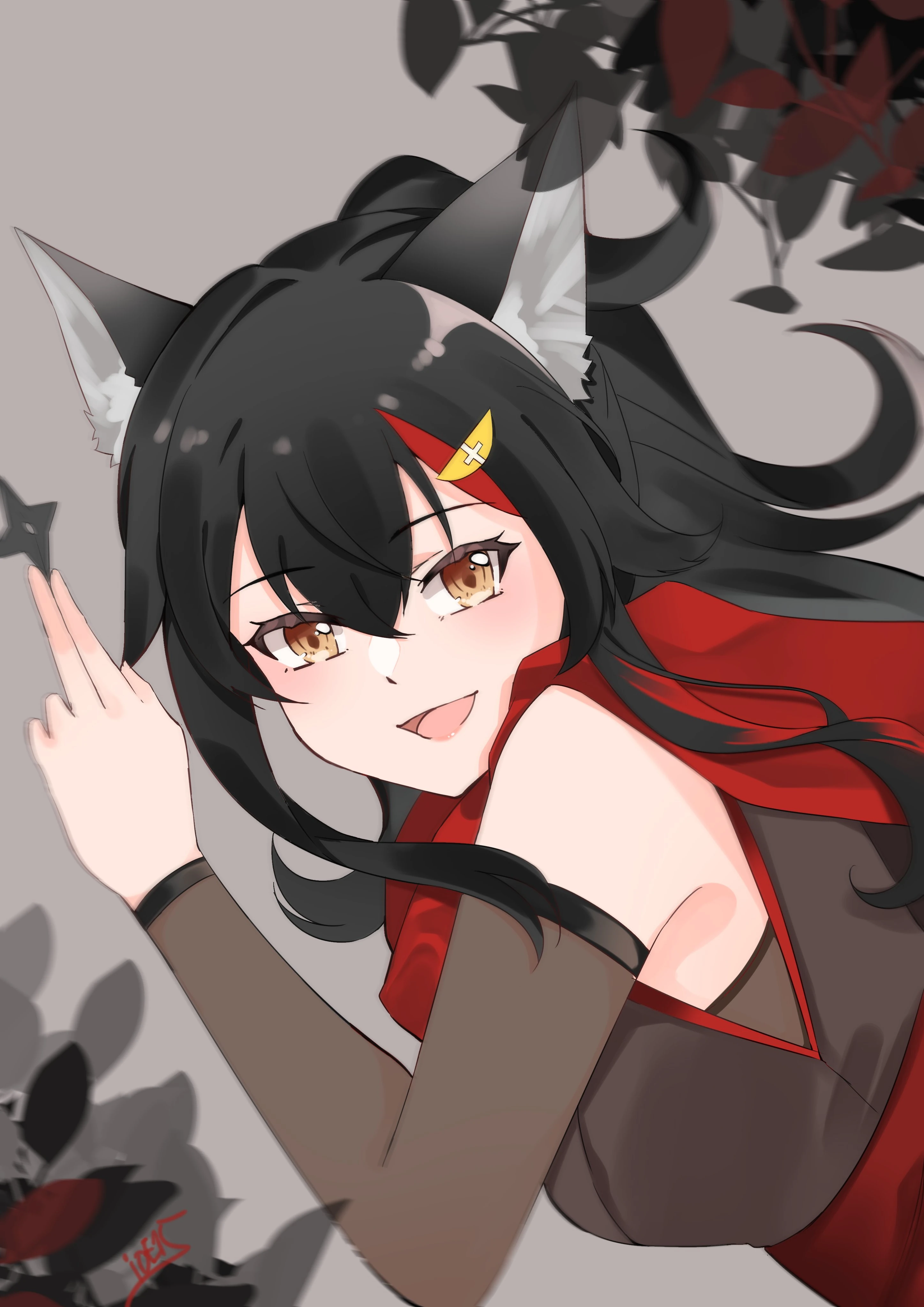 Ninja Ookami Mio