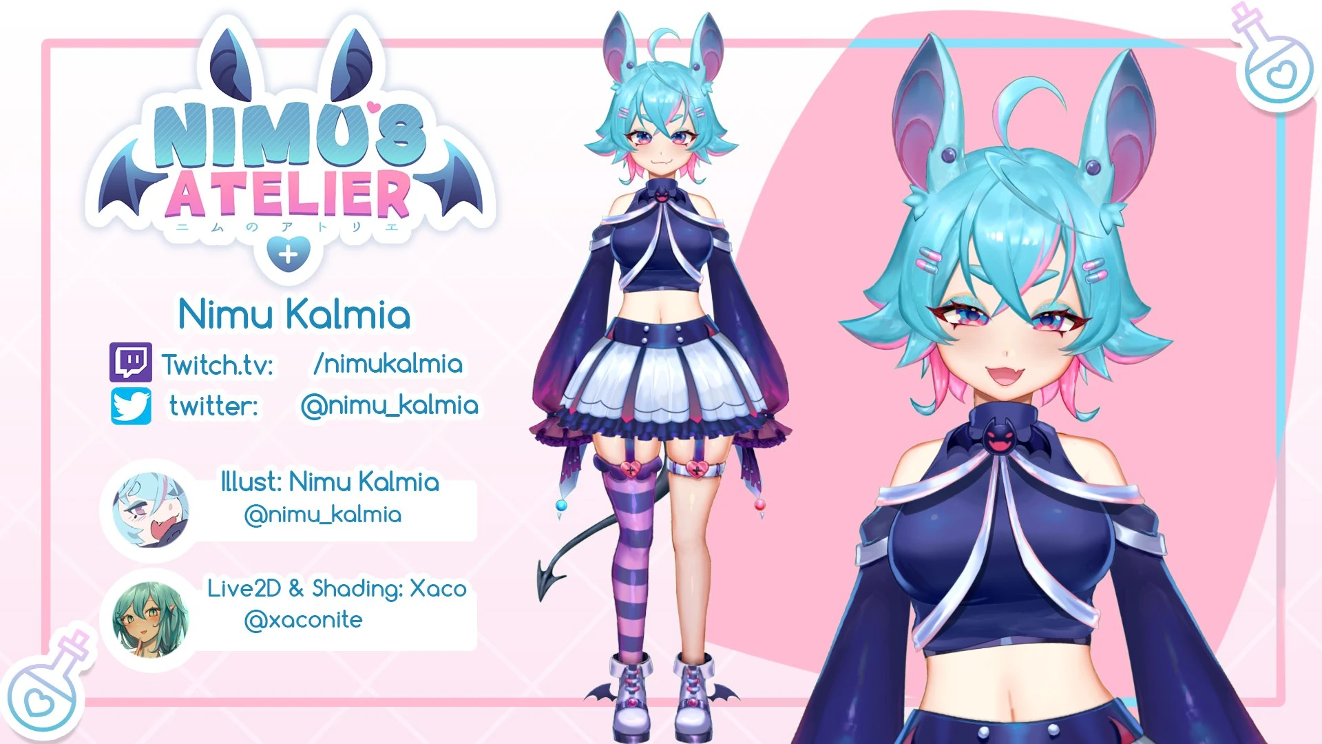 Nimu Kalmia