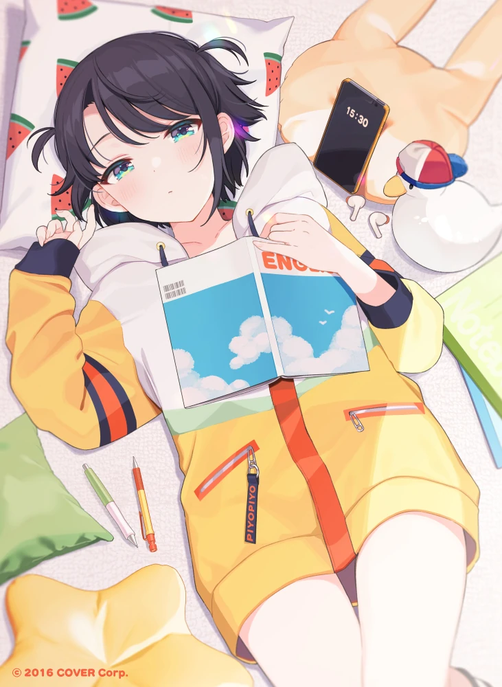 Oozora Subaru 2023 Birthday Merch Illustration
