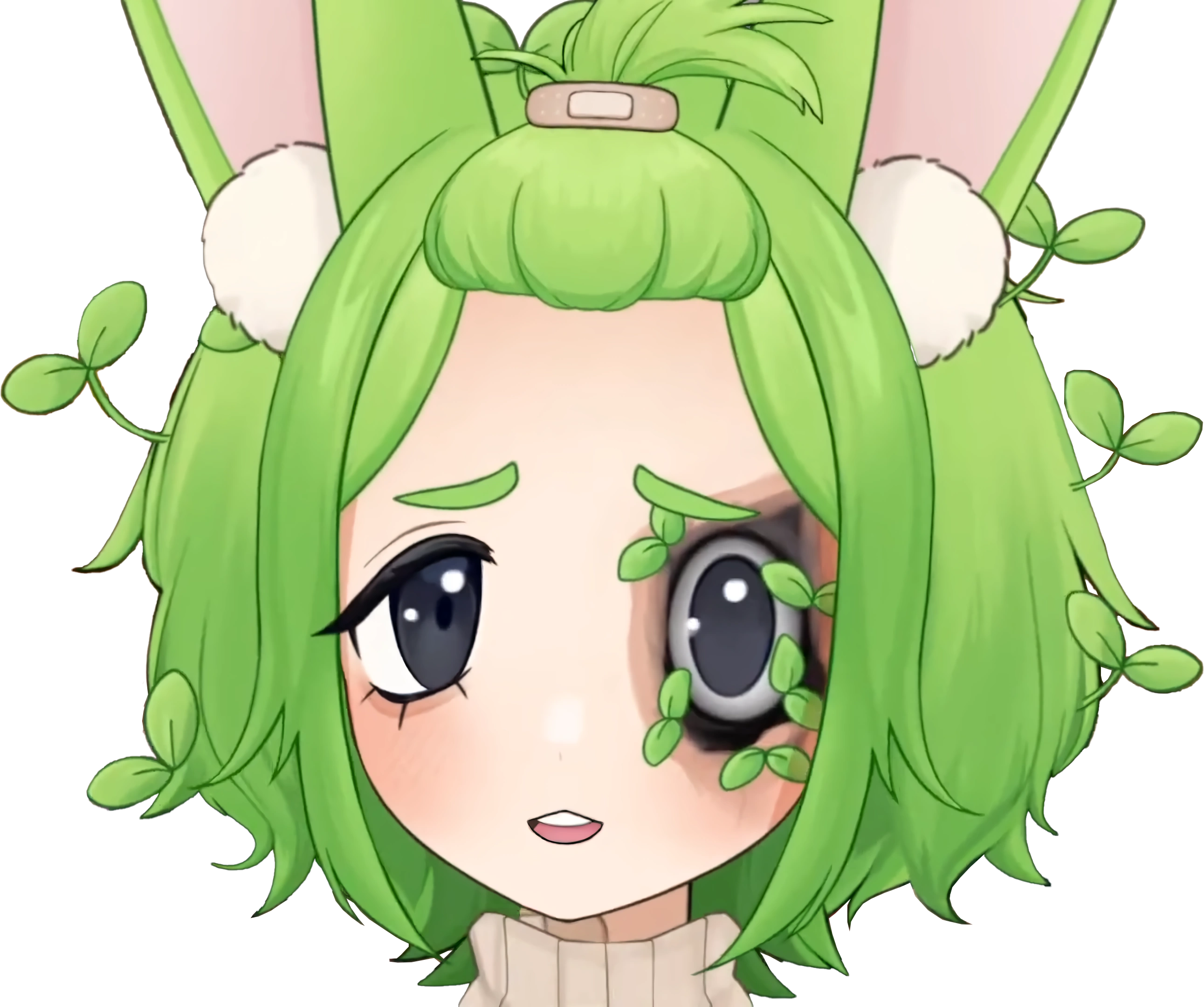 Closer look on Pekoe's 5.0 eyes