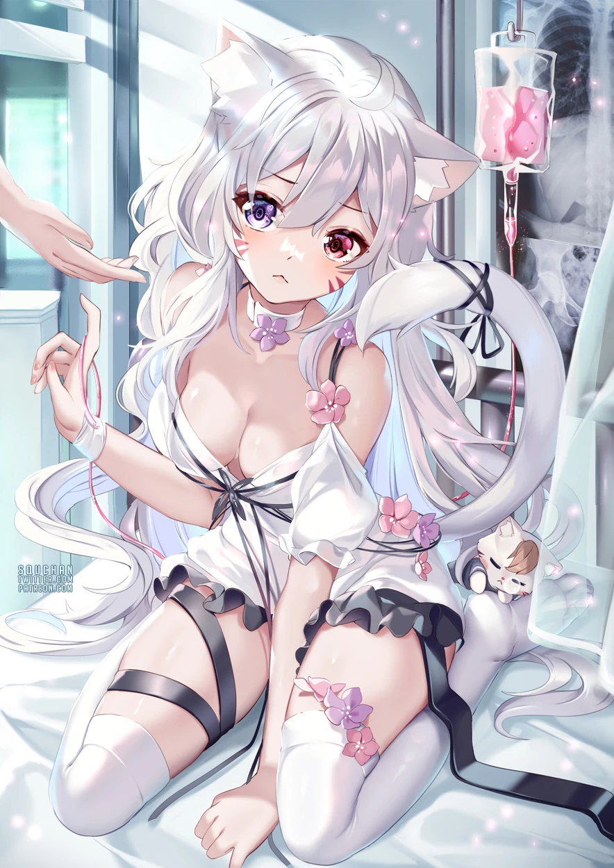 Shyrei white cat