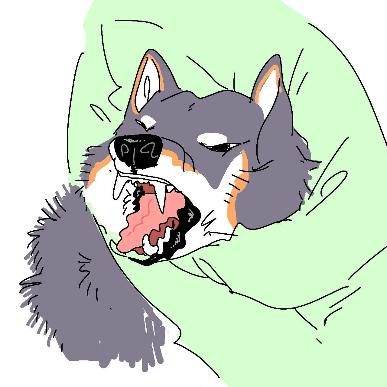 Kuroi Shiba