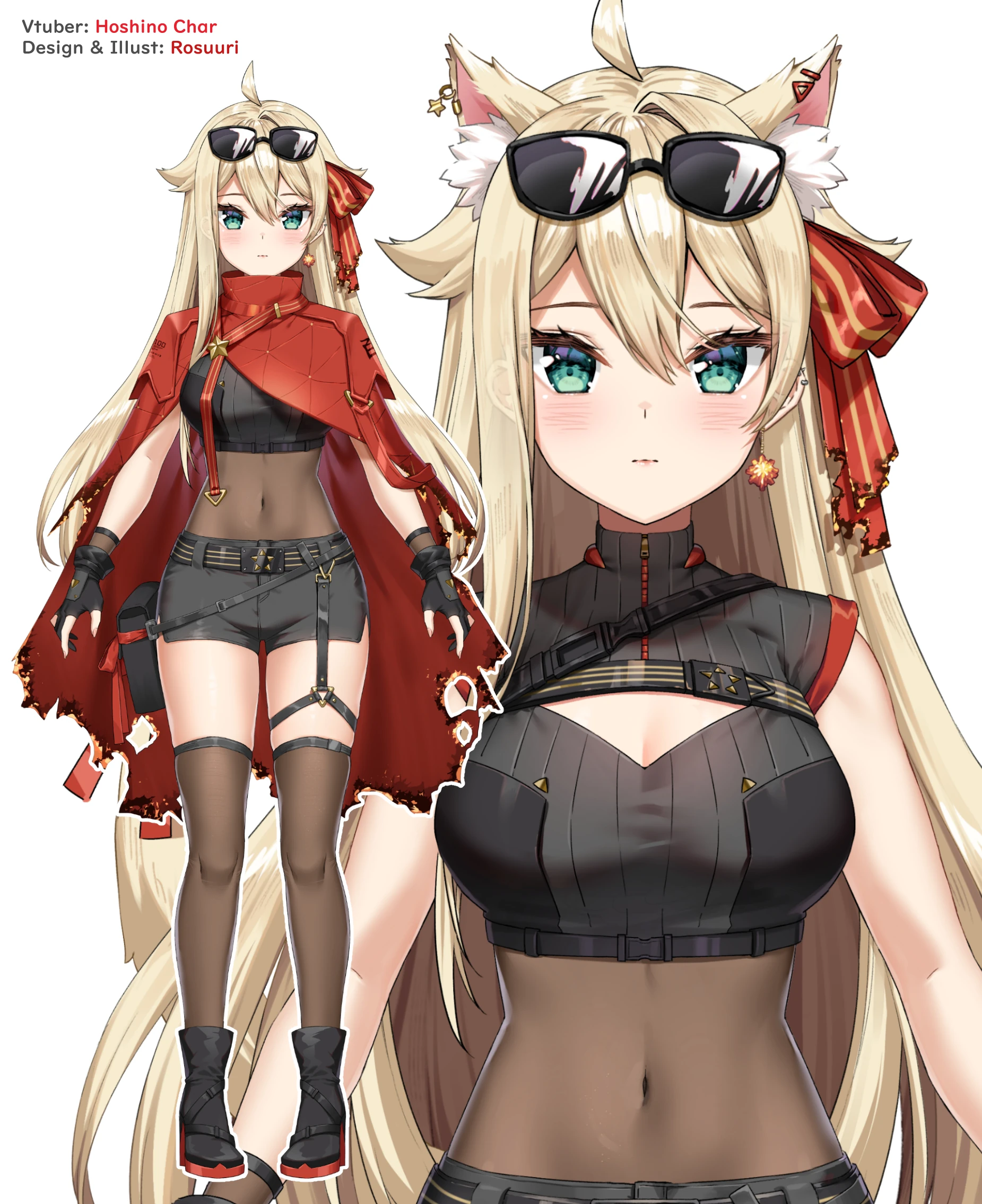Hoshino Char new model by mama Rosuuri