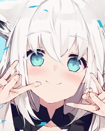 白上フブキ 虛擬youtuber Wiki Fandom 白上フブキ 虛擬youtuber Wiki Fandom