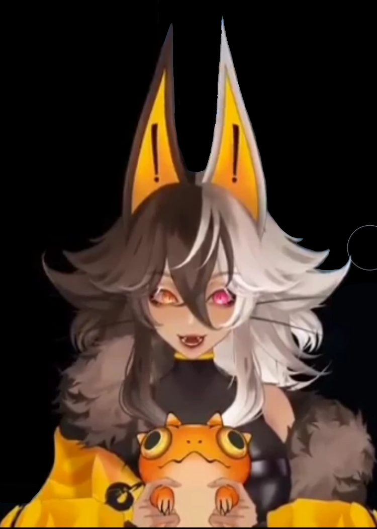 Insomnicat02