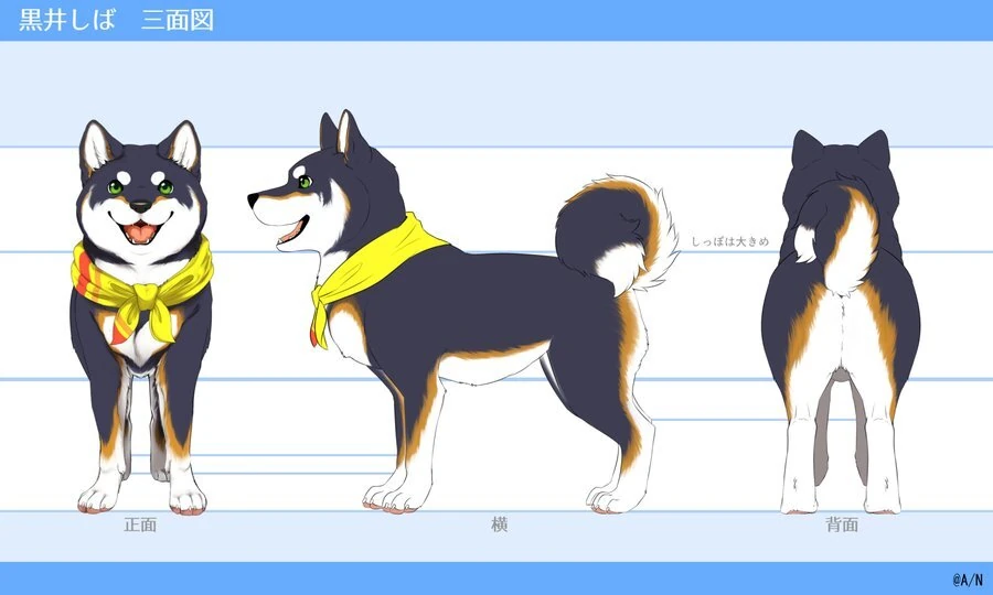 Reference Sheet