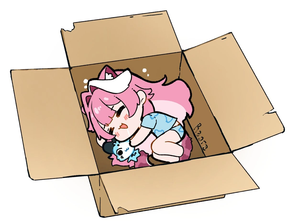 Raora sleeps in cardboard boxes