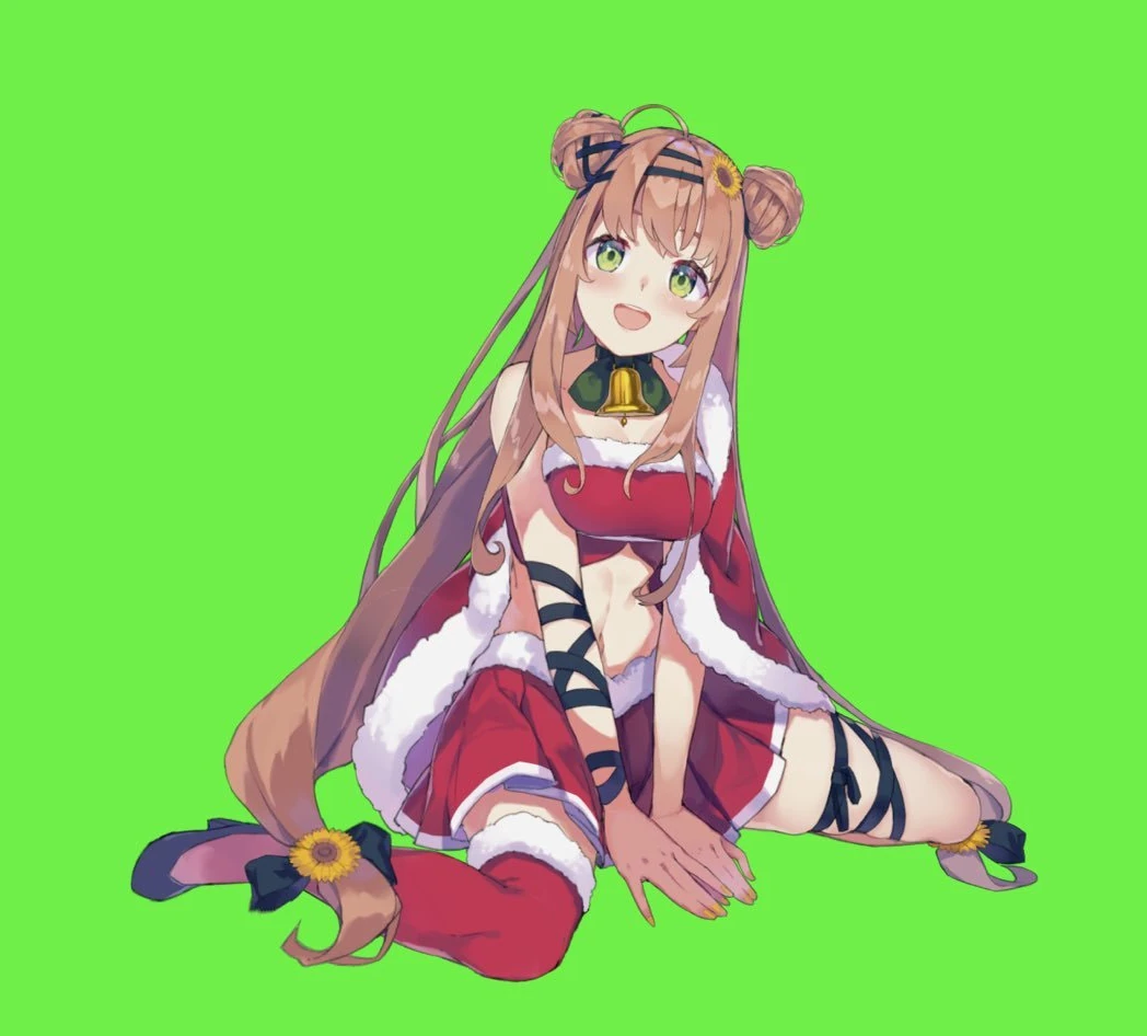 Christmas Santa Outfit