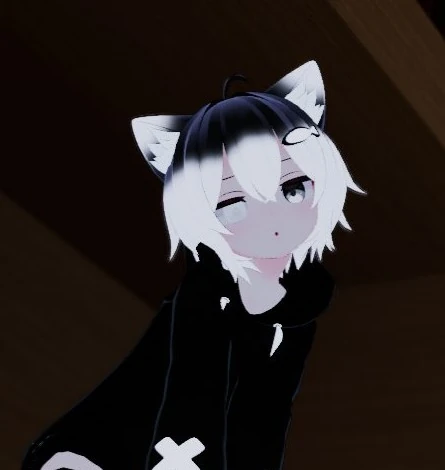 Echo