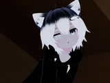 Echo