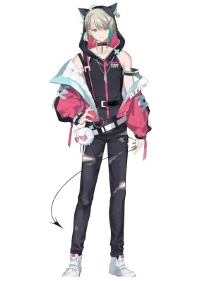 Sleeveless Hoodie