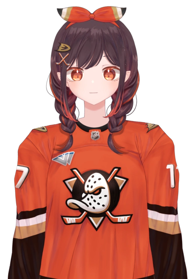 Ducks Outfit and Accessories