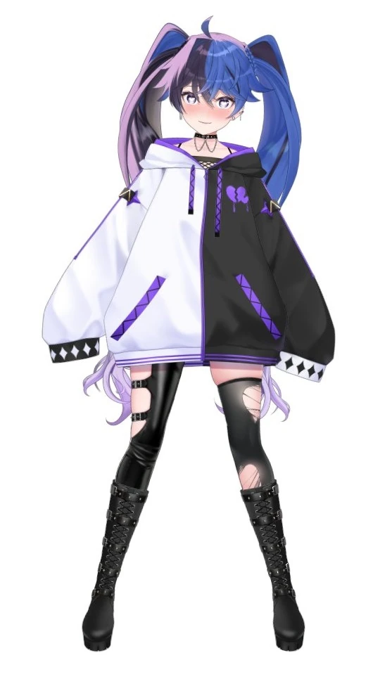 Second 2D model (2023)