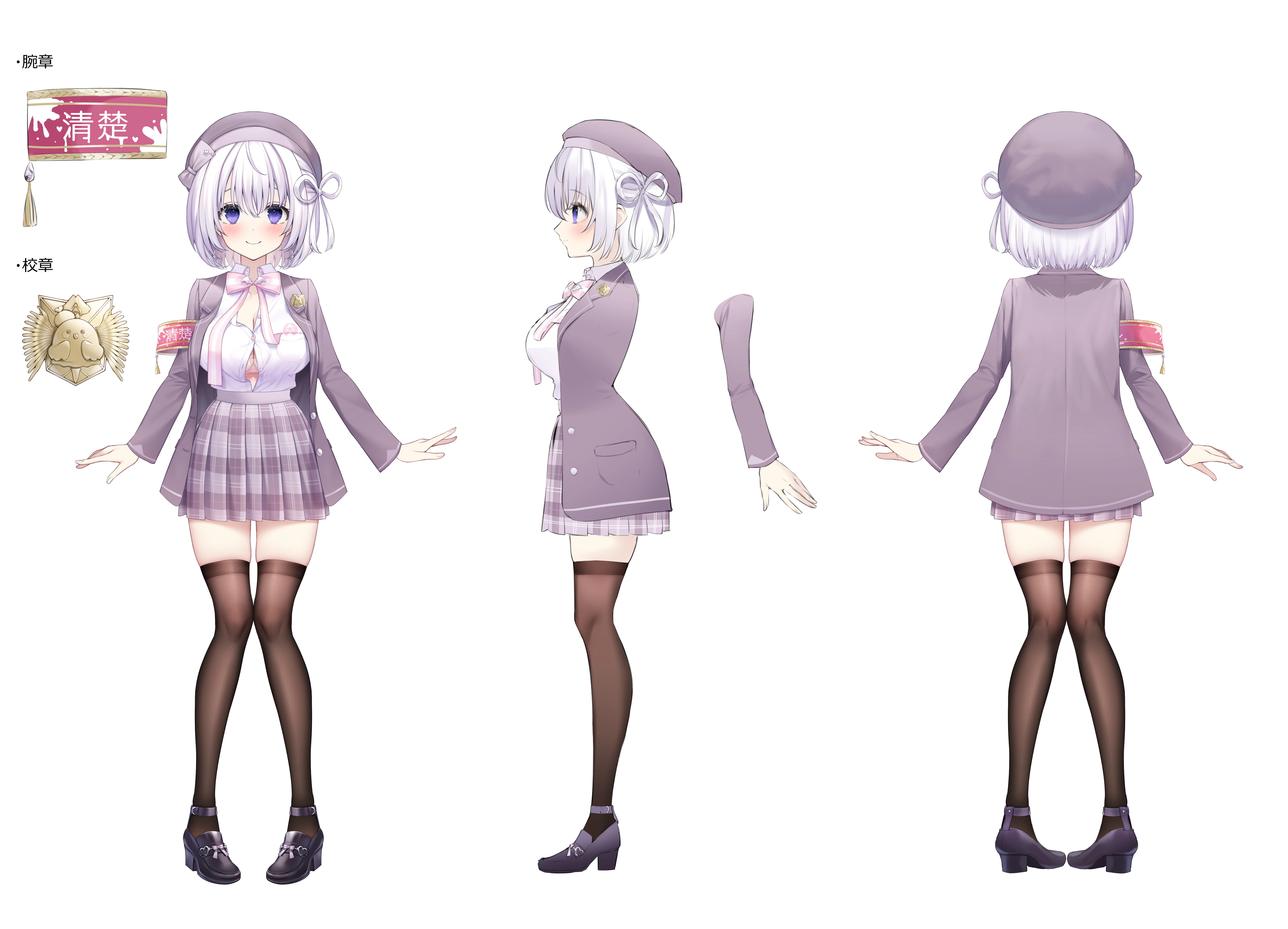 2nd 2D Costume Reference Sheet 1