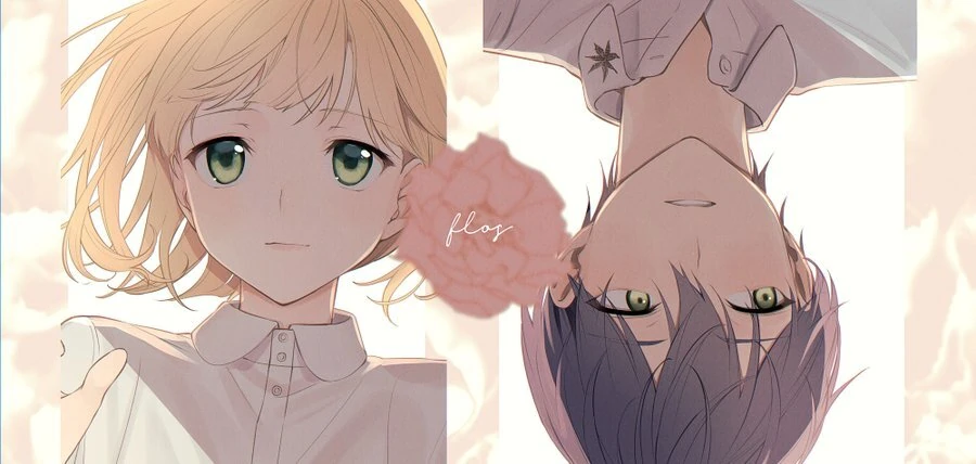 flos Illustration<br>by Kuriyama