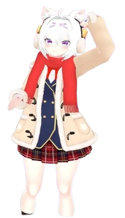 Winter outfit